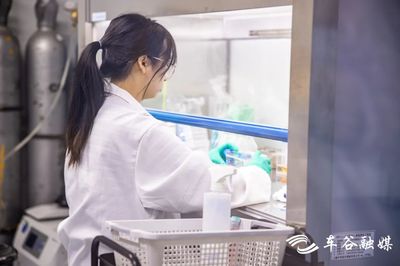 全省唯一！湖北普林檢測打造化妝品與生物化工產(chǎn)品“一站式”研發(fā)新標(biāo)桿